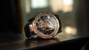 ulysse nardin freak s